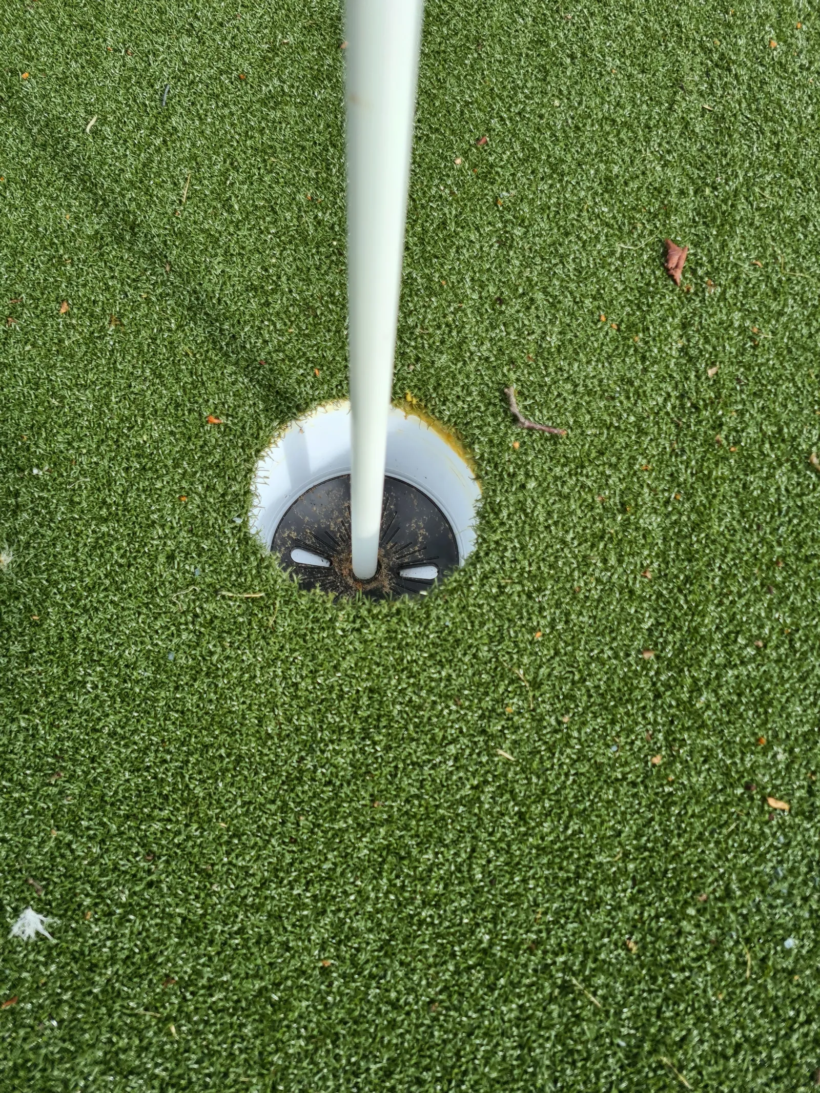 A flag in a hole on a putting green, seen from above